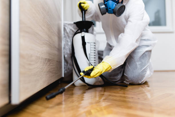 Best Pest Control Near Me  in Randolph, WI