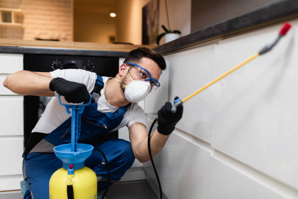 Best Termite Control Services  in Randolph, WI
