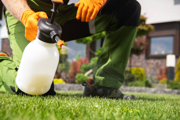 Best Pest Removal Services  in Randolph, WI