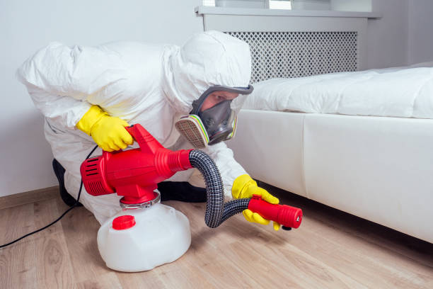 Best Wasp Removal Services  in Randolph, WI