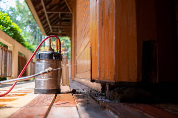 Best Exterminator Services  in Randolph, WI