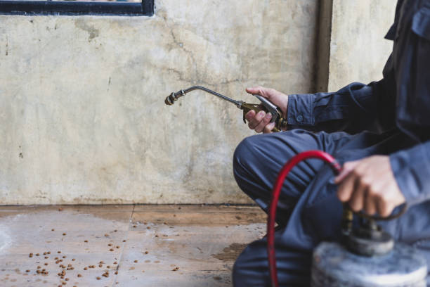 Best Emergency Pest Control  in Randolph, WI