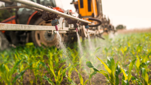 Best Wildlife Control Services  in Randolph, WI