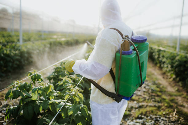 Best Mosquito Control Services  in Randolph, WI